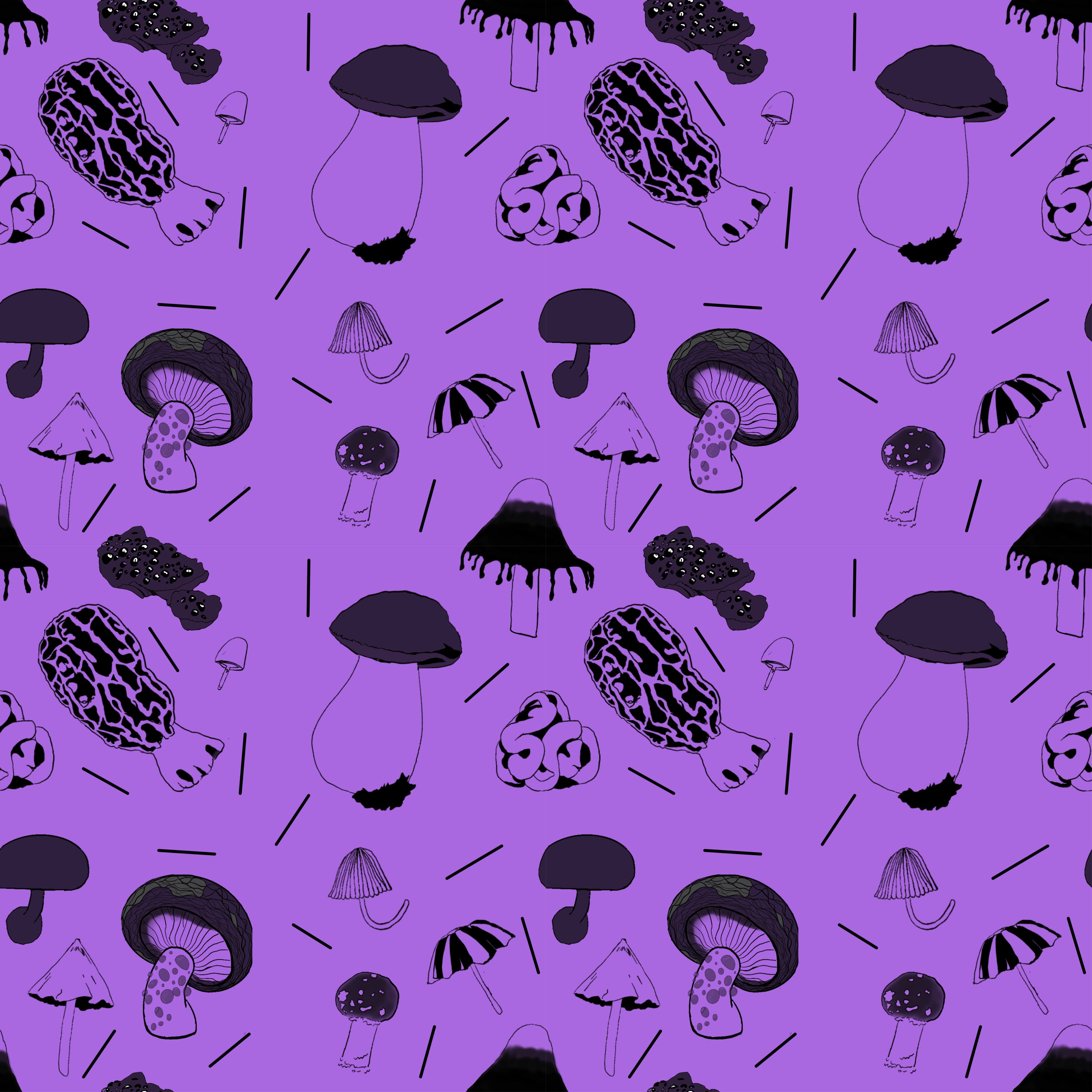 The Mushroom Collection