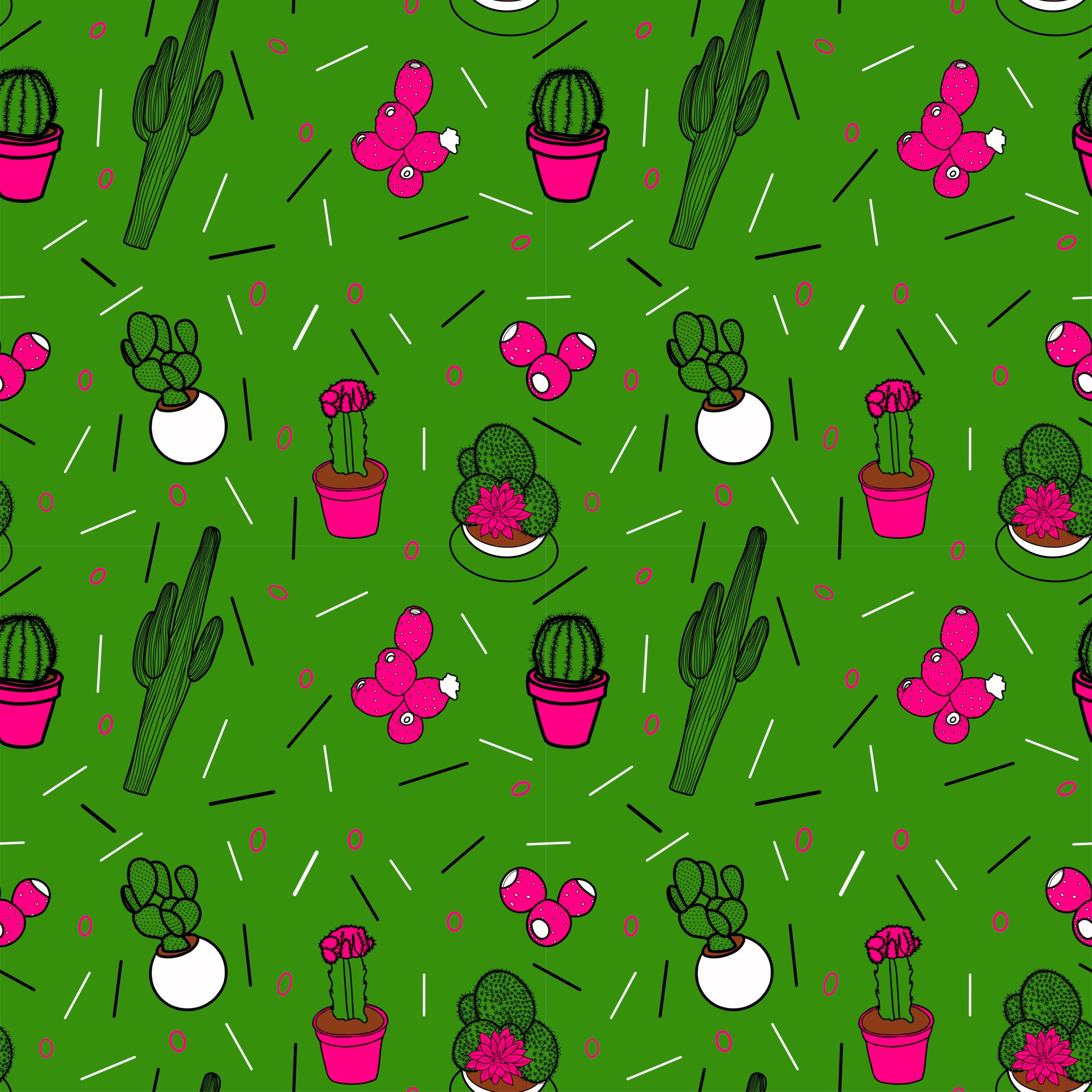 The Cactus Collection