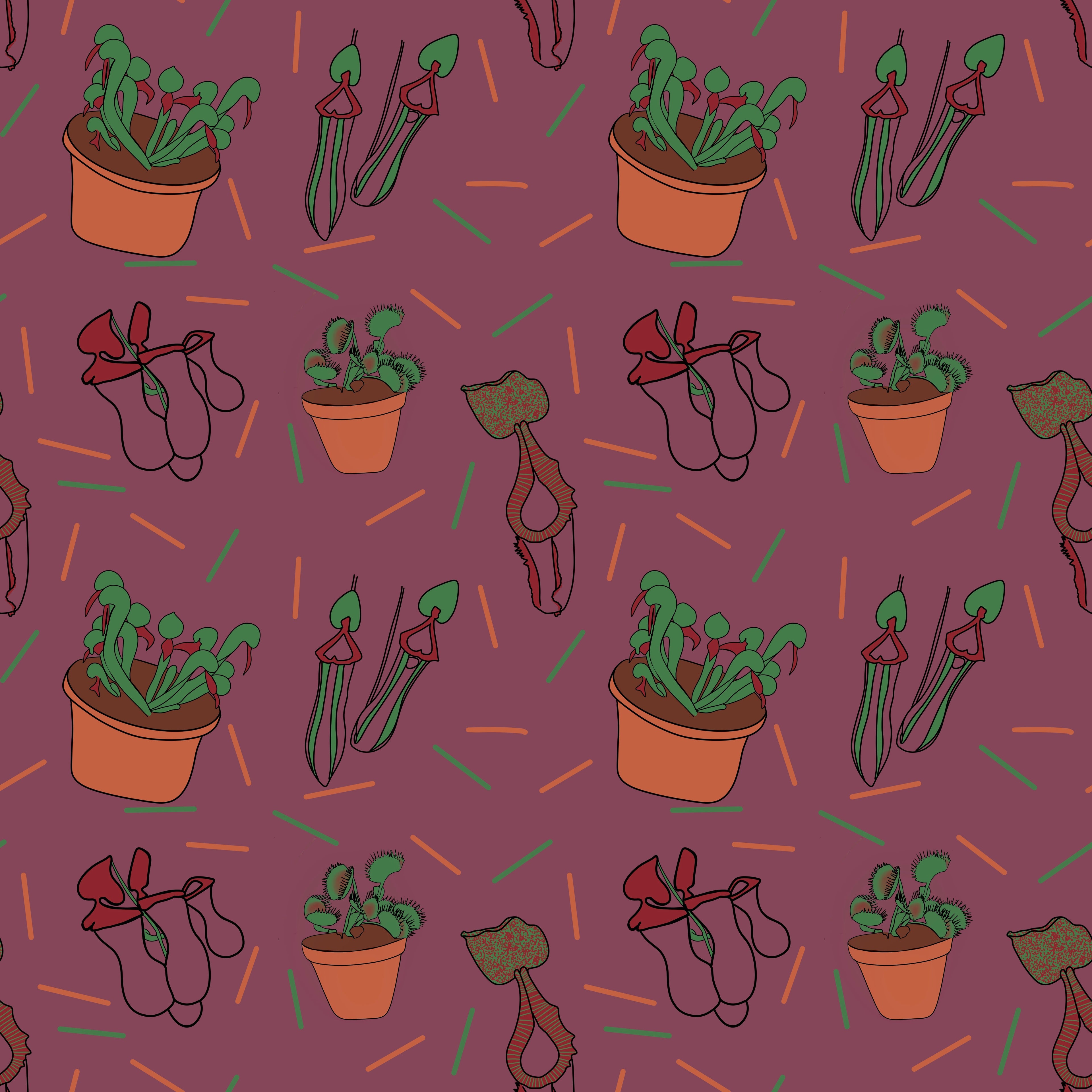The Carnivorous Plant Collection